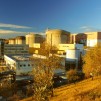 Nuclearelectrica 
