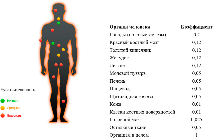 Доклад по теме Влияние радиации на человека