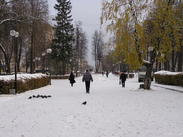 Сквер на улице Стекольникова