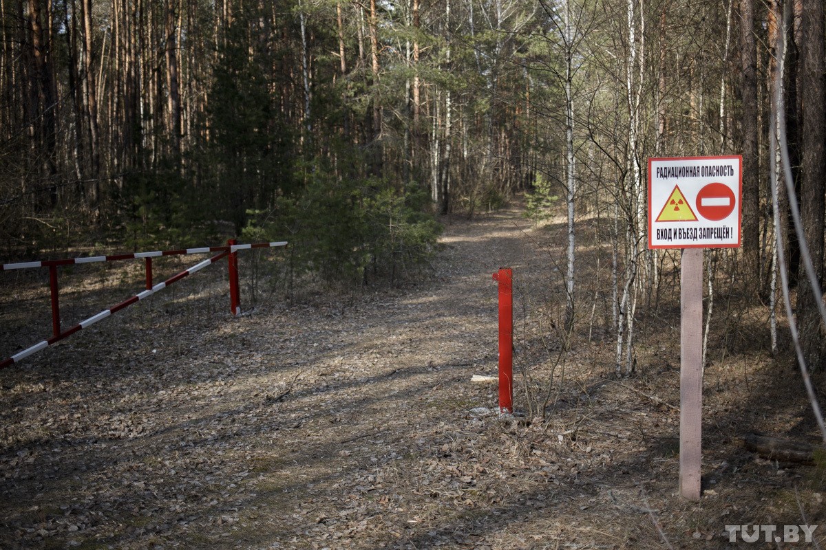 Полесский государственный радиационно-экологический заповедник