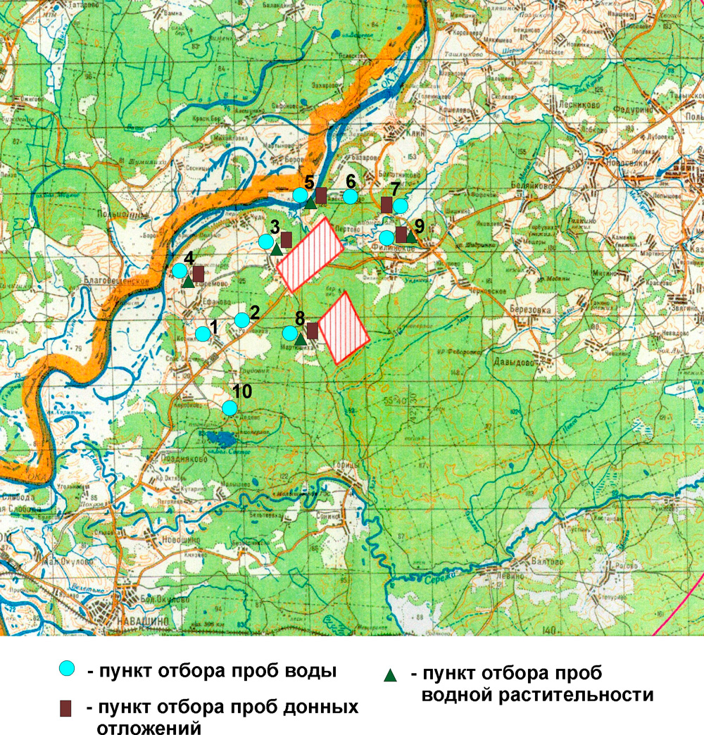 Белоярская аэс на карте. Болота Нижегородской области на карте. Нижегородская АЭС на карте. Могильники в Нижегородской области на карте.