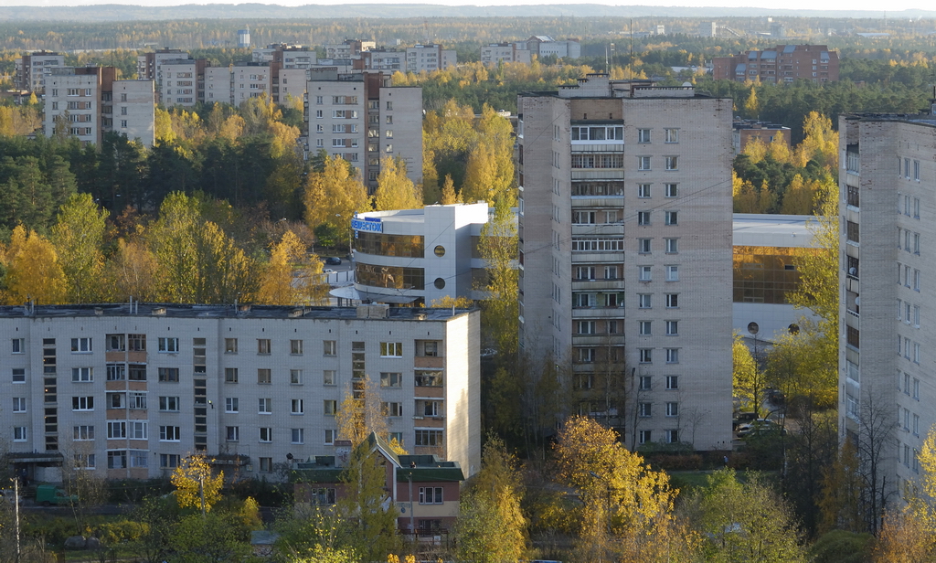 Ленинградская 9 сосновый бор. Г Сосновый Бор. Сосновый Бор Ленинградская область, Россия. Сосновый Бор город. Ленинградская область гор Сосновый Бор.