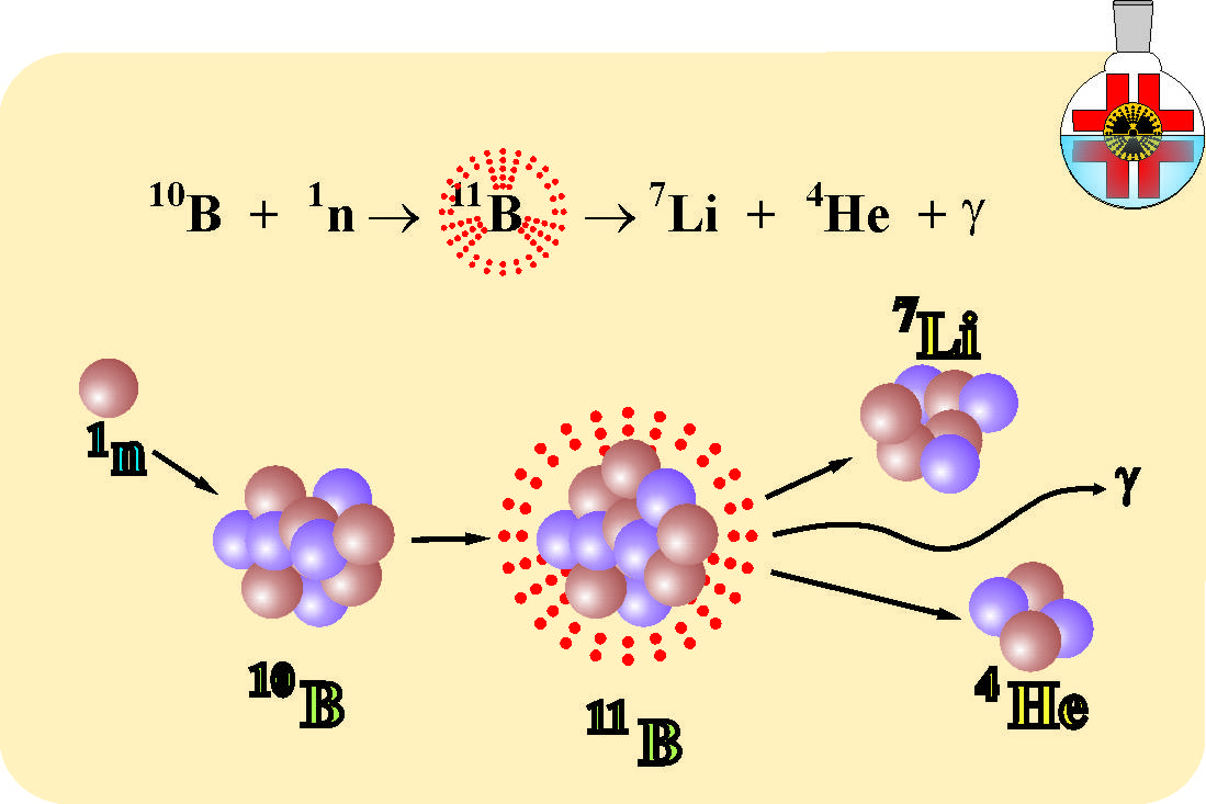 Реакция захвата нейтрона. Бор-нейтронозахватная терапия. Бор нейтрон захватная терапия. Бор-нейтронозахватная терапия (БНЗТ). Бор нейтроны.