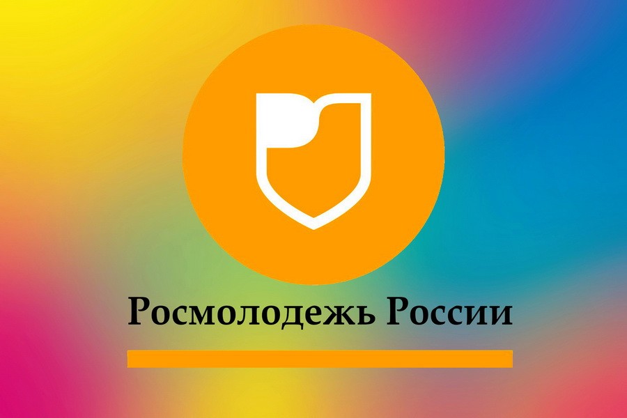 Проект на росмолодежь