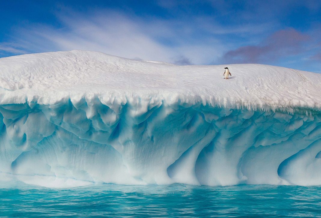 Антарктический ледниковый щит. Антарктический ледяной щит. Ледниковый Покров Арктики. Море ледник сверху. Море с ледниками вид сверху.