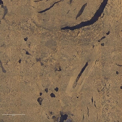 В Окриджской национальной лаборатории изучили влияние пористости ядерного графита на его способности замедлителя