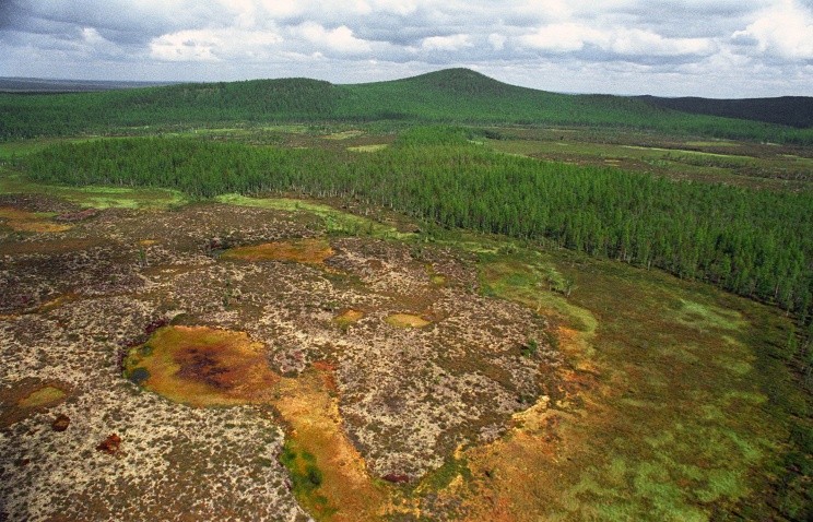 Место падения Тунгусского метеорита. Фото © Владимир Медведев/ТАСС, архив