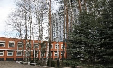 ОИЭЯИ - Сосны