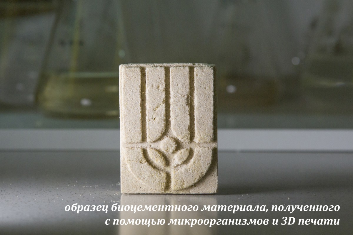 Курчатовский институт