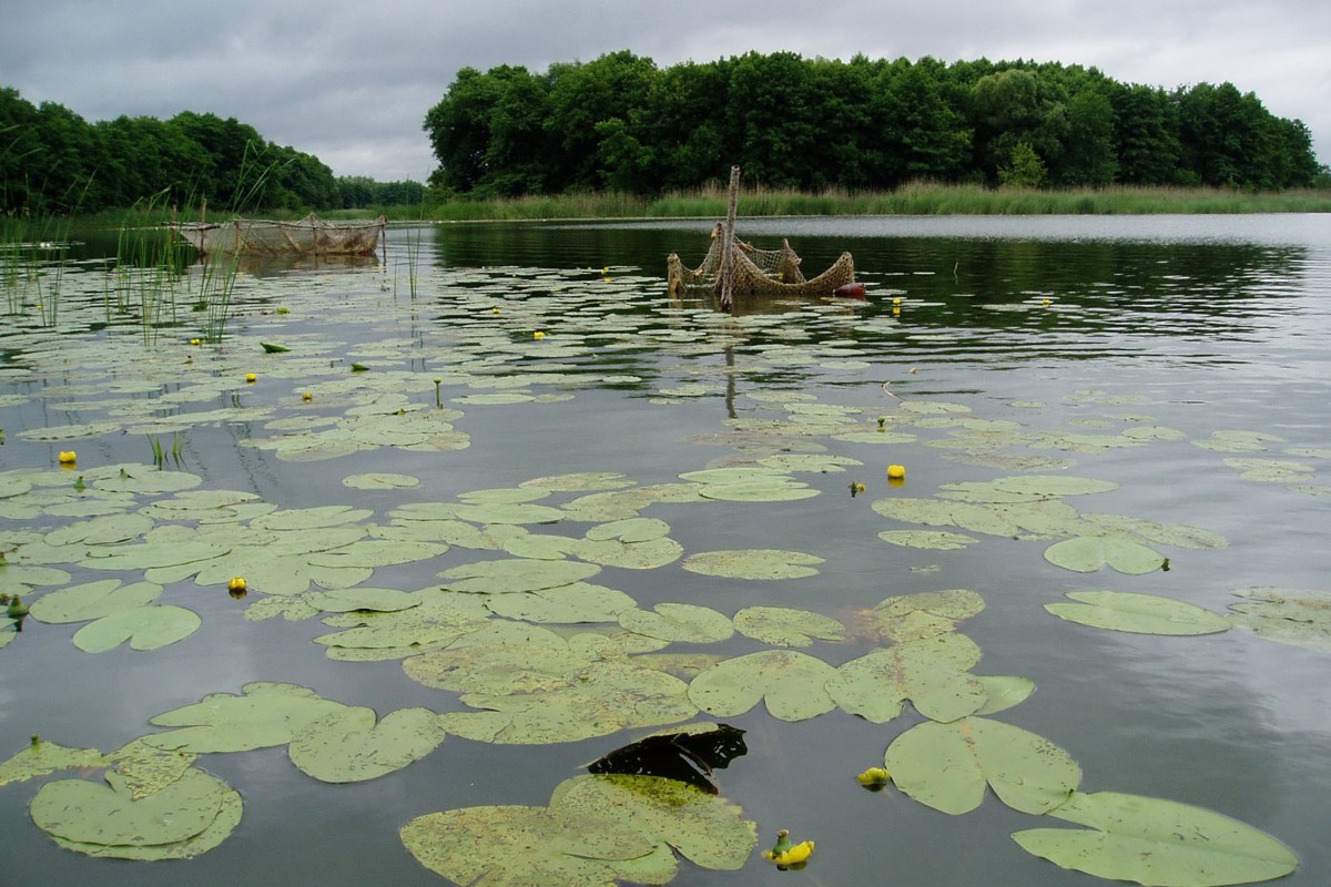 Одна из фоторабот, представленных на конкурсе Ростовская АЭС