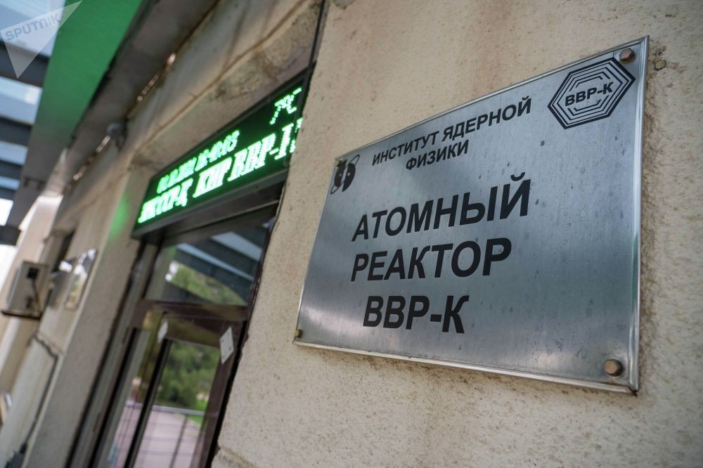 ИЯФ является стратегическим объектом, на территории которого находится порядка 30 зданий, в том числе и рабочий ядерный реактор, на котором проводят научные исследования