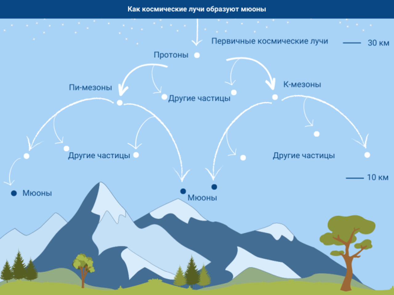  А. Власов/МАГАТЭ