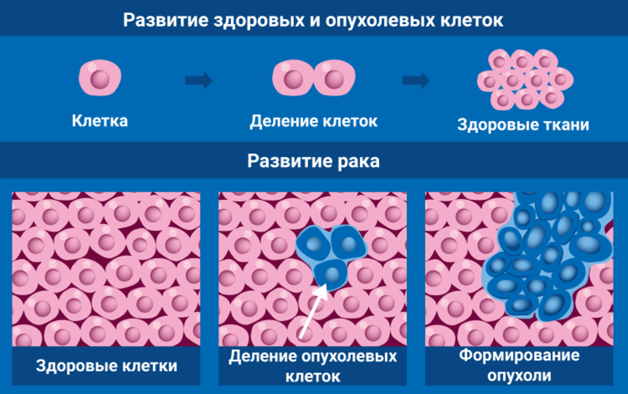 МАГАТЭ