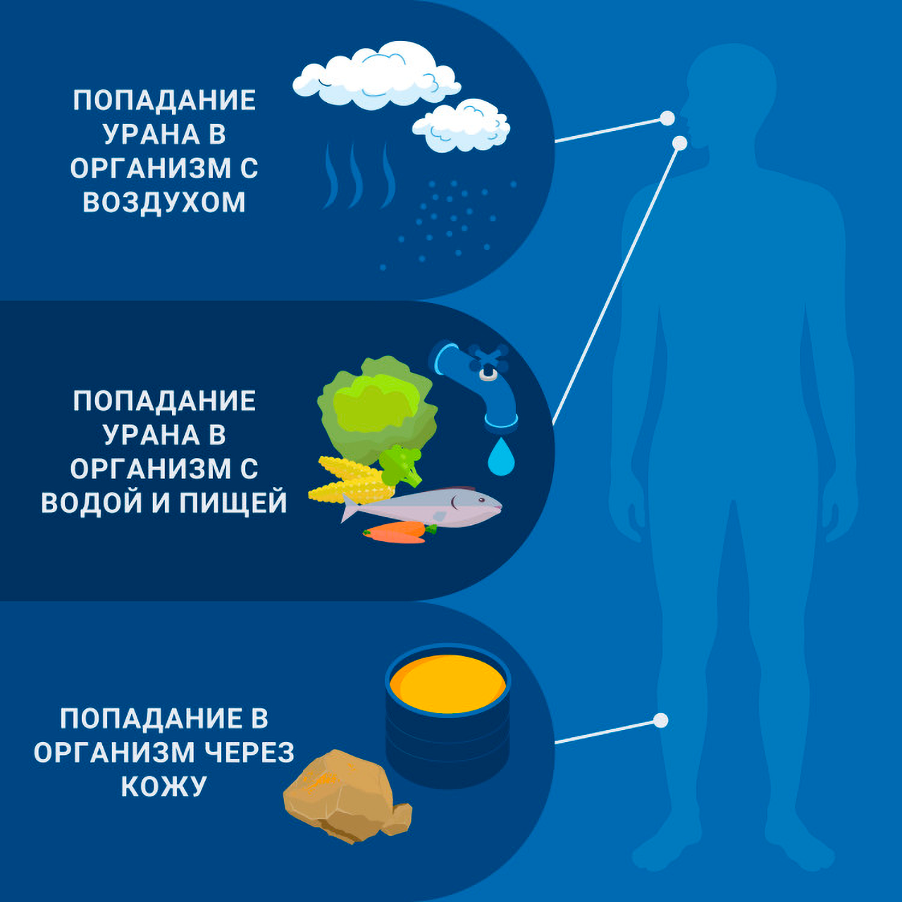 Радиация — это часть нашей повседневной жизни, и мы постоянно подвергаемся ее воздействию. Небольшие количества природного урана каждый день попадают в организм с пищей, водой и воздухом МАГАТЭ