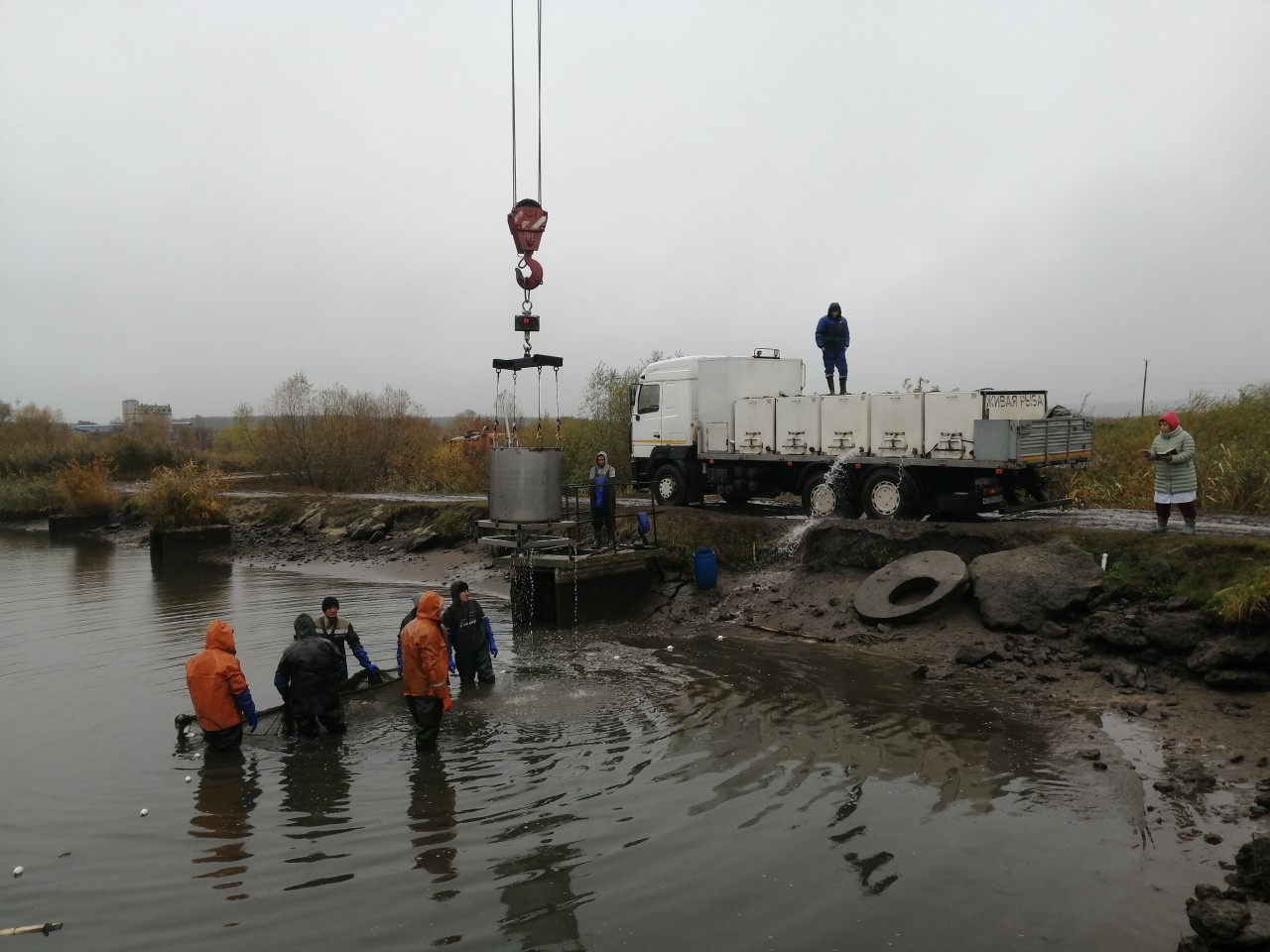 8 тонн воды