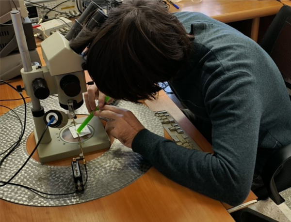 Аспирант ИФП СО РАН, один из разработчиков сенсора, Ярослав Растяпин