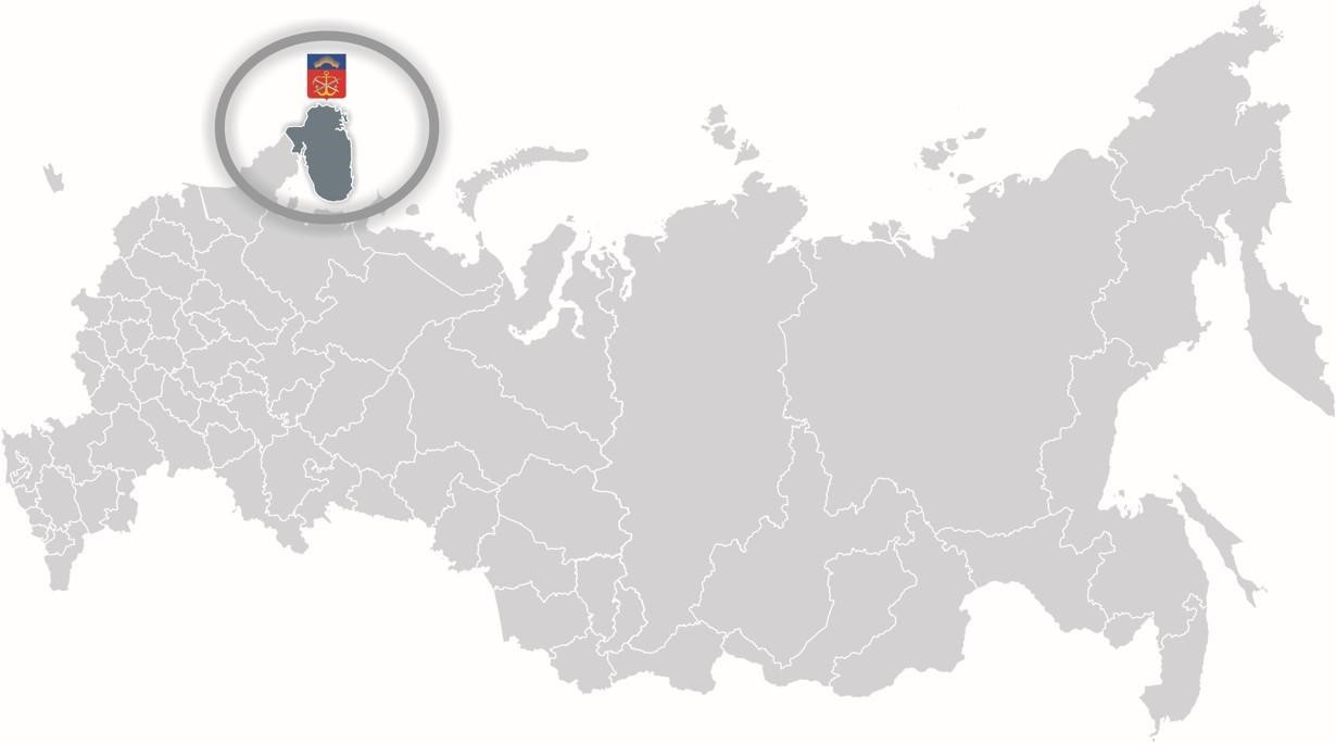 Россия без всего. Карта России. Карта России серая. Карта России контур. Карта России с регионами серая.
