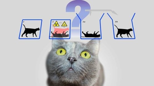 Ученые нашли способ спасти кота Шредингера | Атомная энергия 2.0