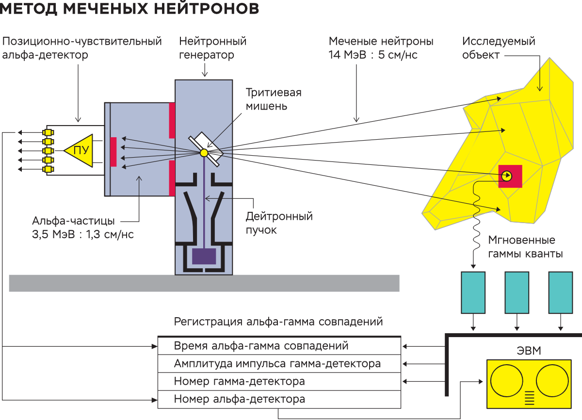 Сколково 