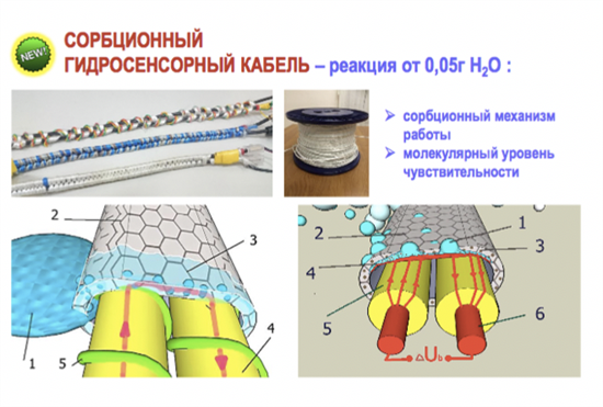 Сколково 