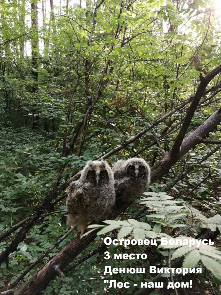Росэнергоатом 