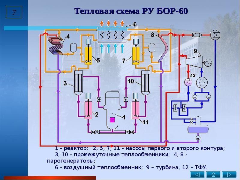 presentacii.ru 