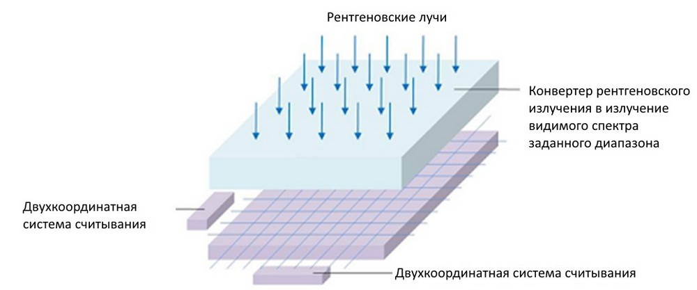 В. Назьмов 