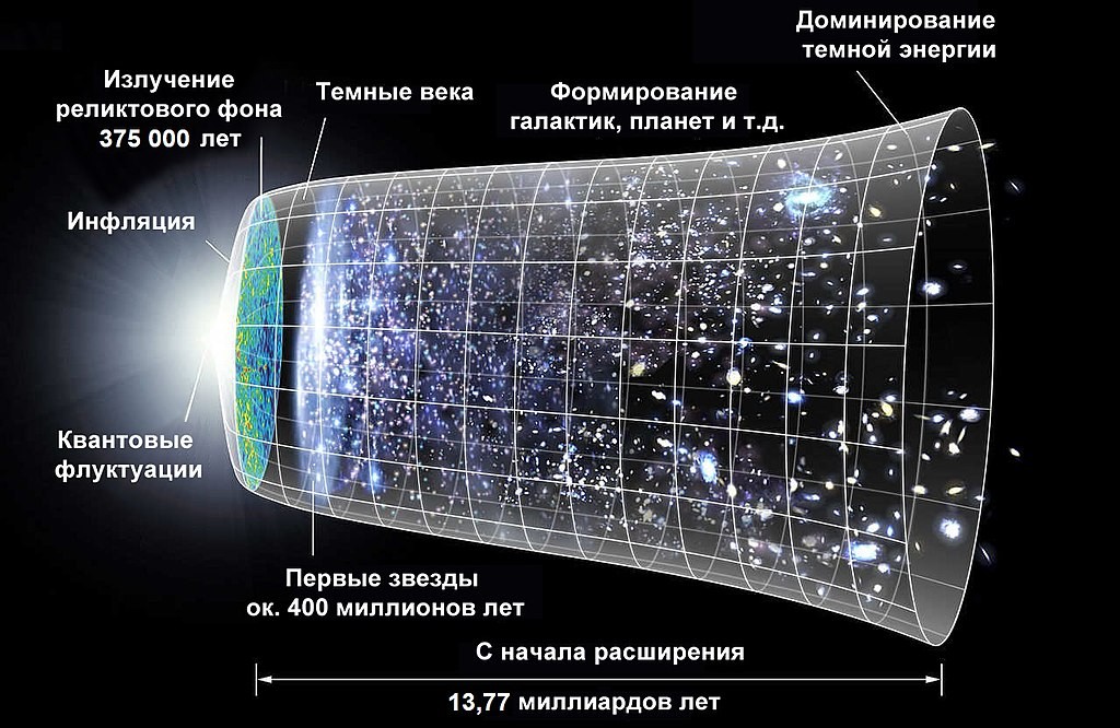 Википедия