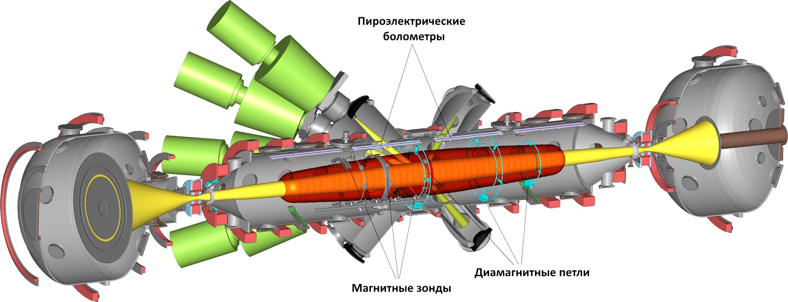 Елена Солдаткина