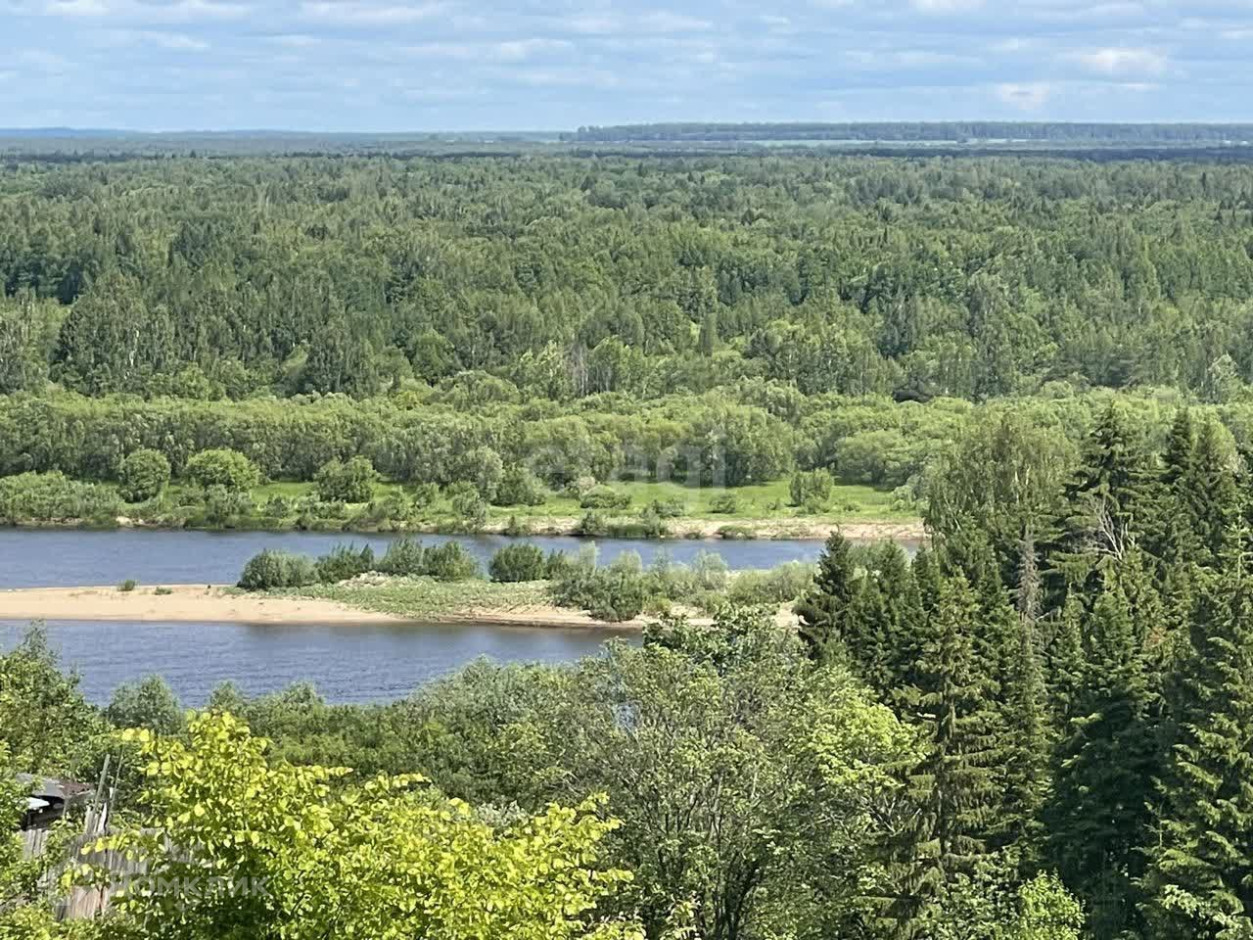 Лес в Кировской области