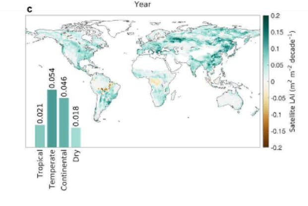 Интенсивность озеленения в различных частях мира. Желтым цветом показаны регионы тропиков, на которые сильнее всего повлияли вырубки джунглей. Но даже несмотря на них тропики в целом продолжают озеленяться Sungchan Jeong et al.