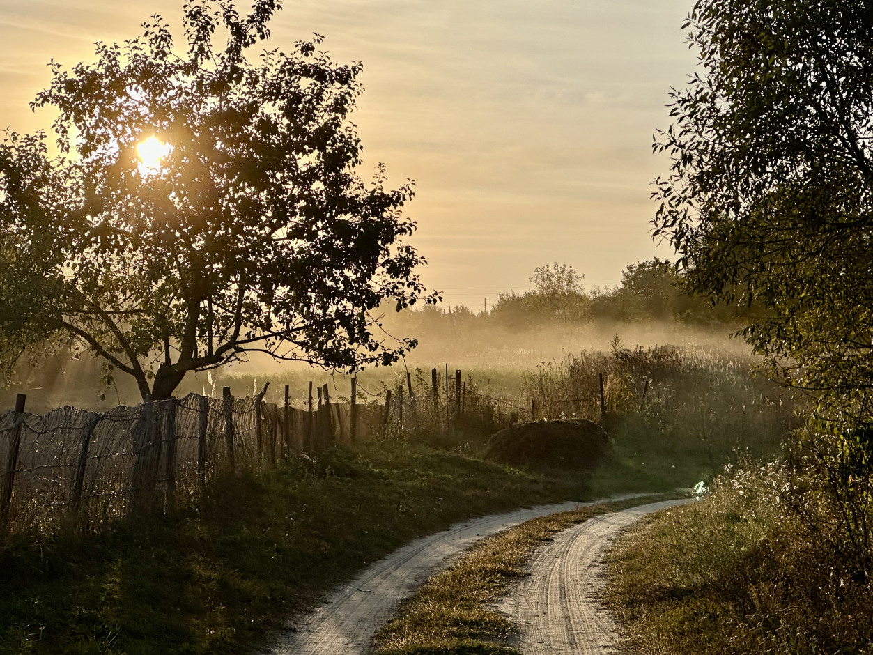 1 место Вечерняя тишина Мальцева Софья 15 лет МАУДО ДДТ г.Курчатов