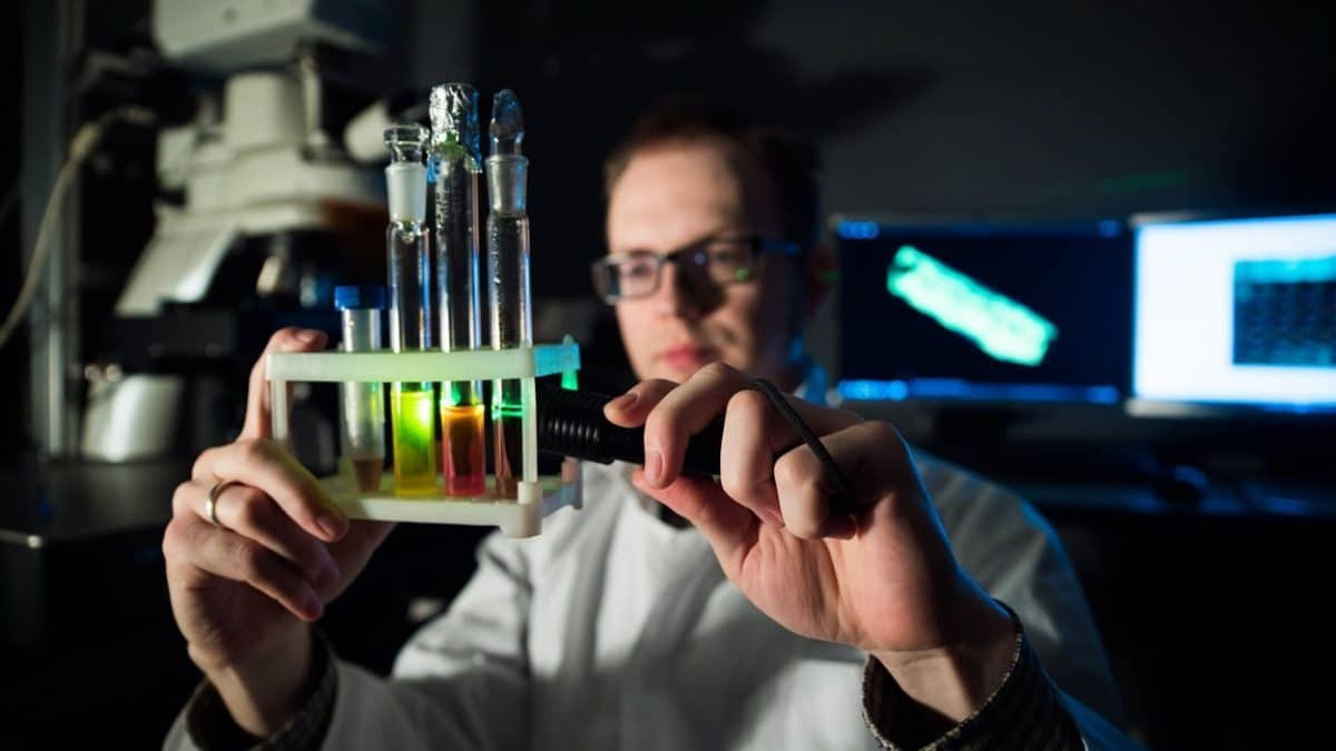 Пресс-служба Губкинского университета