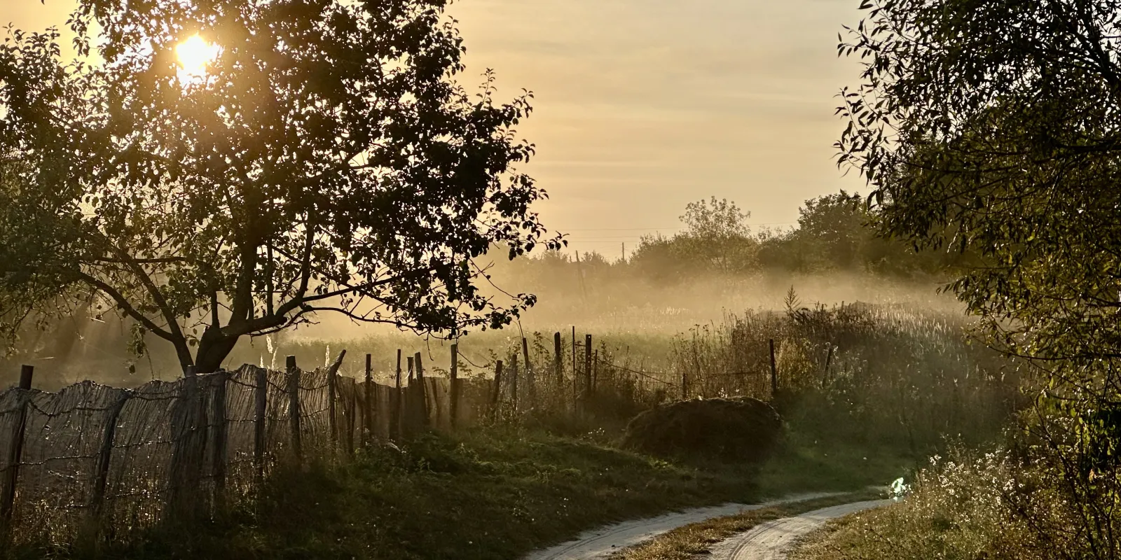 1 место Вечерняя тишина Мальцева Софья 15 лет МАУДО ДДТ г.Курчатов