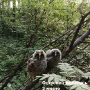 Росэнергоатом 