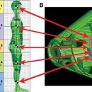 new-science.ru 