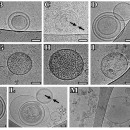Курчатовский институт 