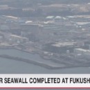 Fukushima-news.ru 