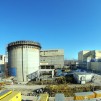 Nuclearelectrica 