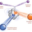 R. Subedi et al. /Science 