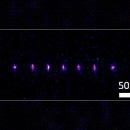 Laser Physics