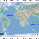 International Journal of Digital Earth, Yuxin Zhang et al.