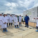 Яндекс