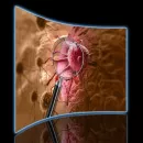 scitechdaily.com