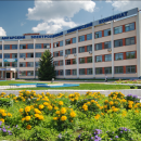 Яндекс