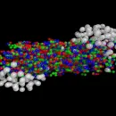 phys.org