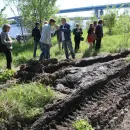 yarregion.ru