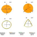 Physical Review Letters 134, 226902 (2025)