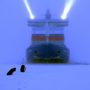 Юрий Капасёв