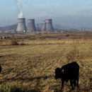 Р. Мангасарян, РИА Новости